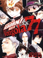 家庭教师HITMAN REBORN!导读手册Vongola77