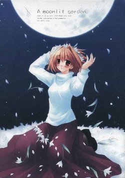 [CHRONOLOG, R-Works] A moonlit garden (月姫,Fate/Stay night)