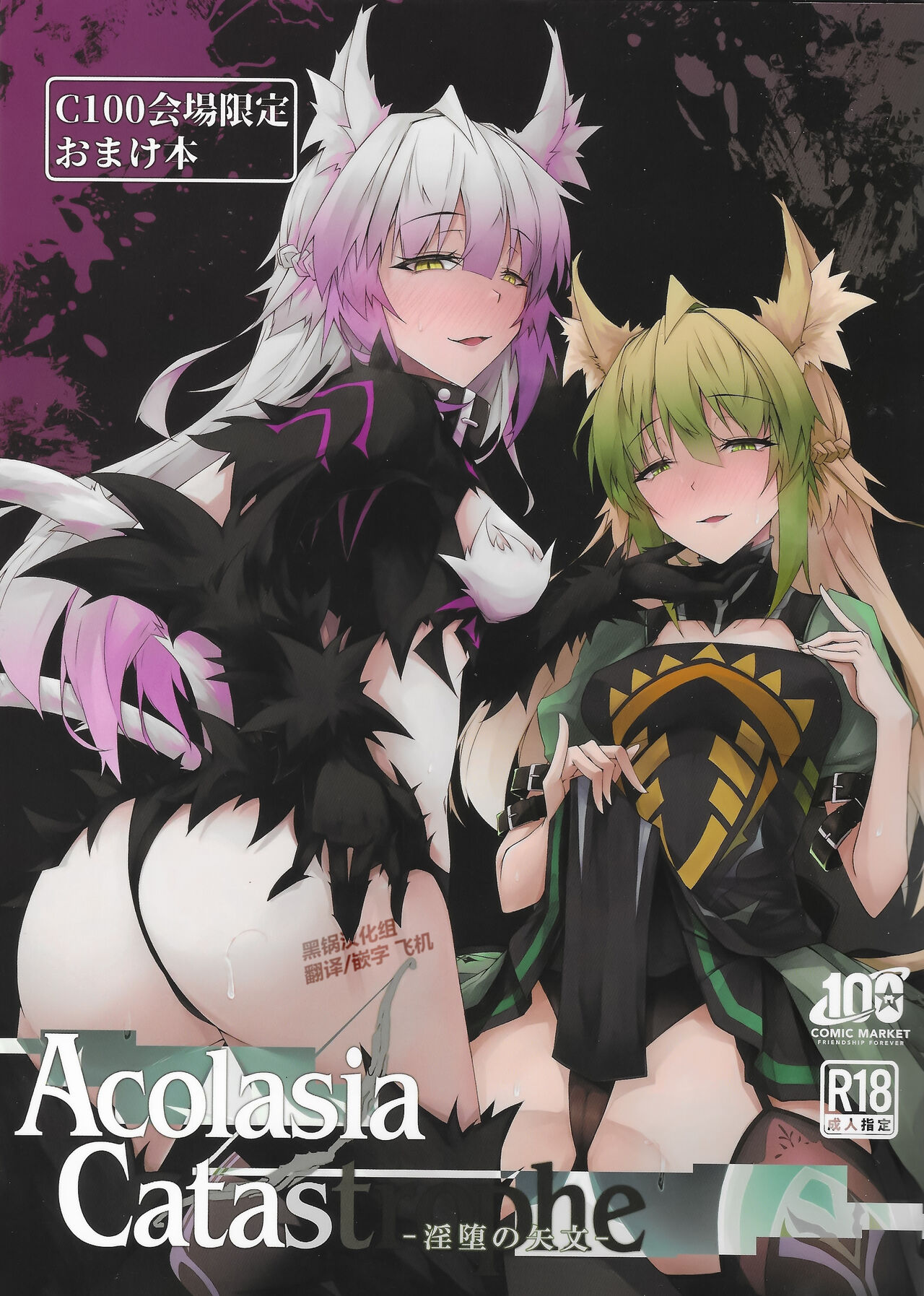 (C100) [eK-SHOP (ついじ)] C100会場限定おまけ本 Acolasia Catastrophe -淫墮の矢文- (Fate/Grand Order) [中国翻訳]