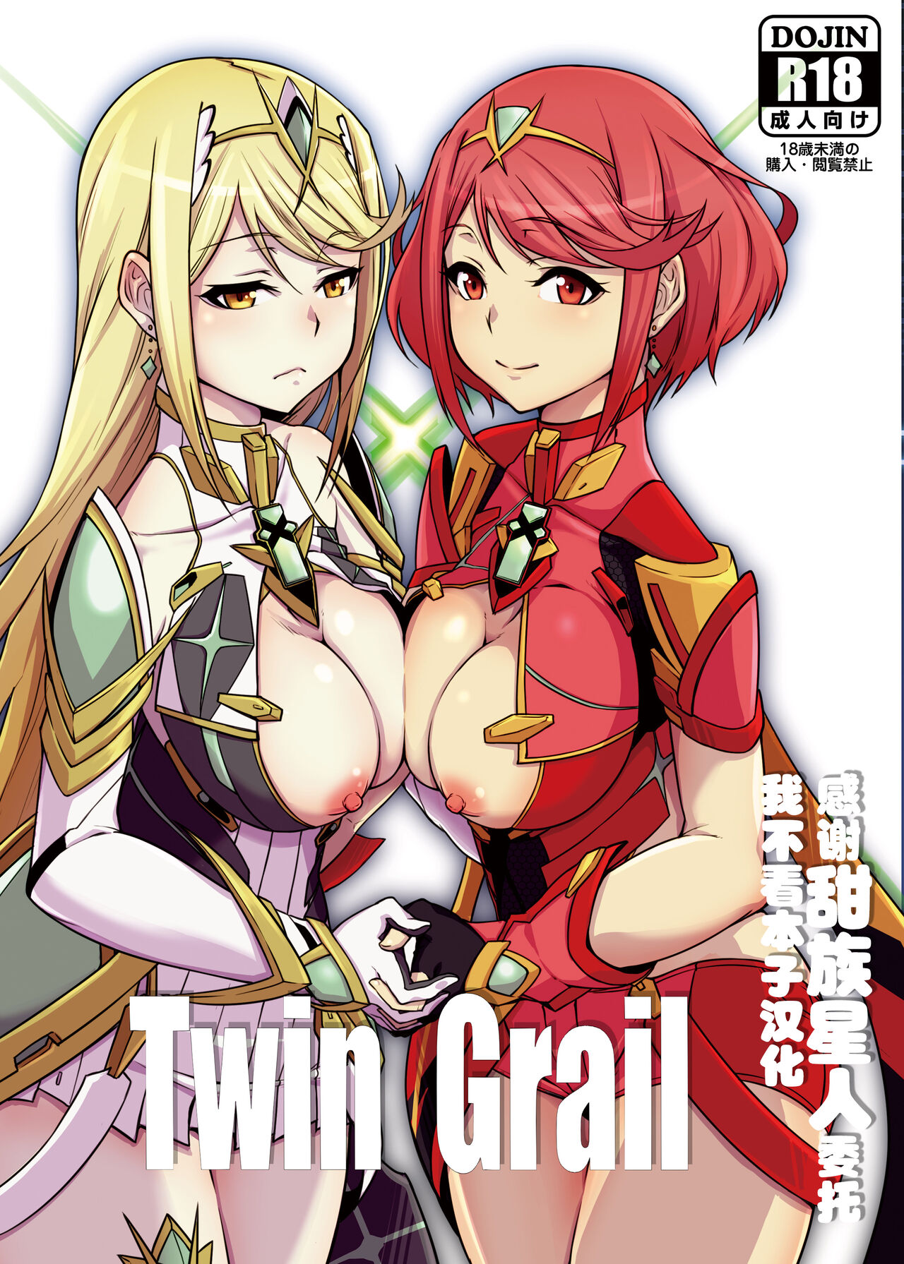 [白い闇 (k-you)] Twin Grail (ゼノブレイド2) [DL版][中国翻訳]