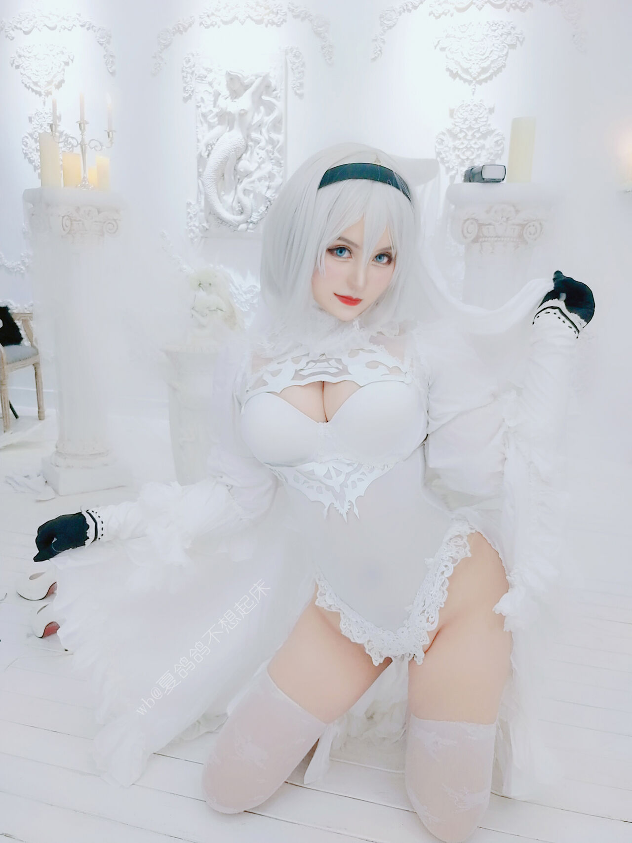 Yorkie - Bride 2B