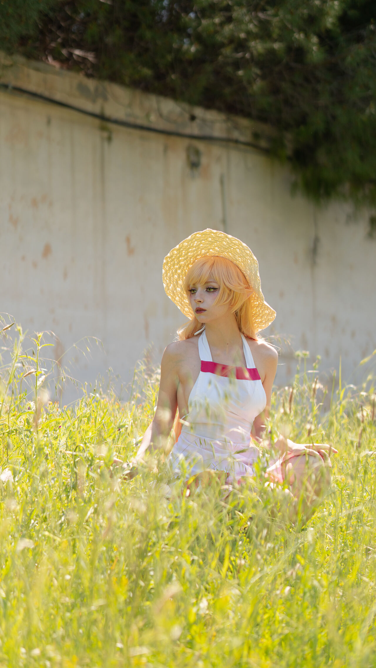 Himeecosplay - Shinobu Oshino