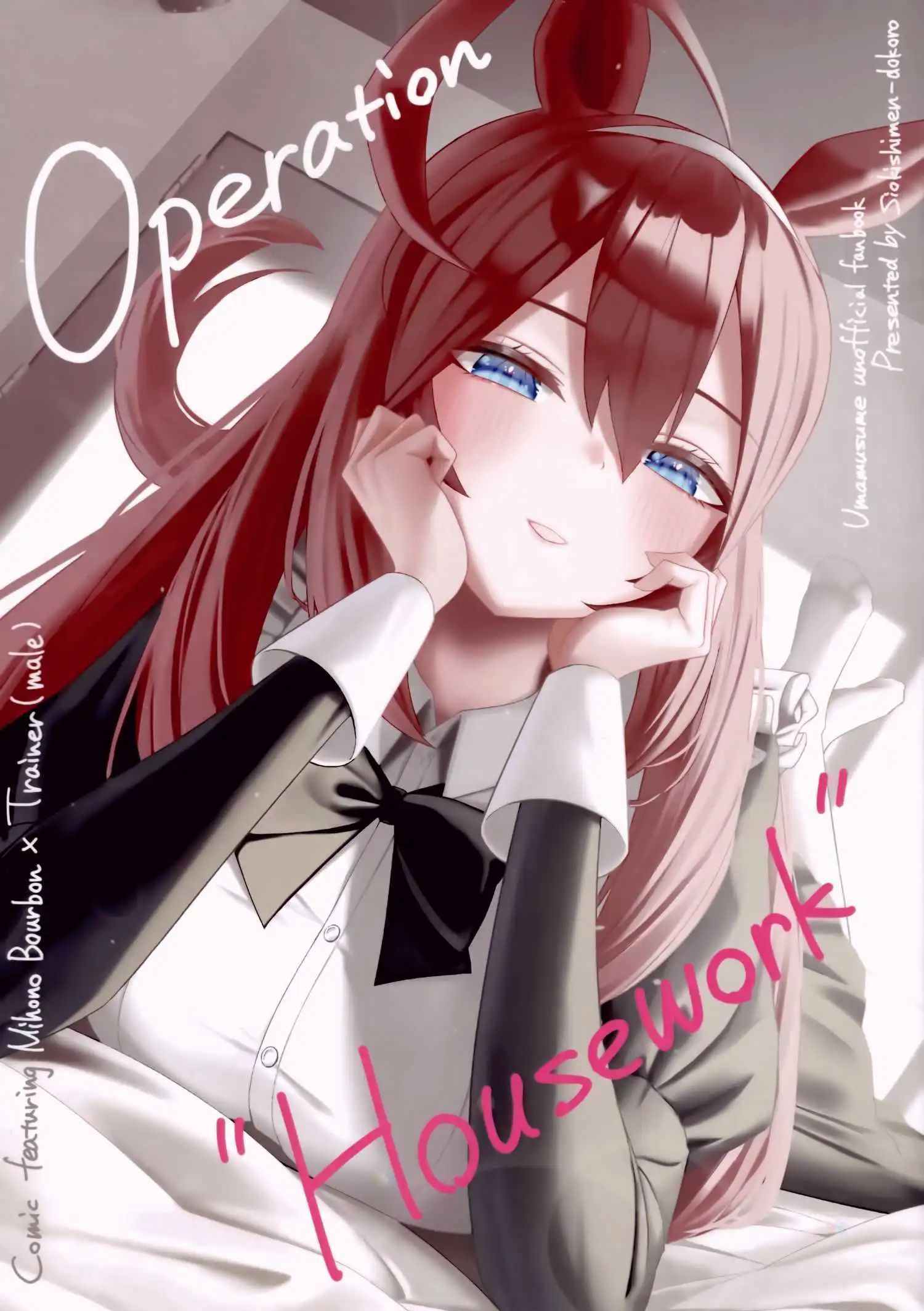 Operation &quotHousework"