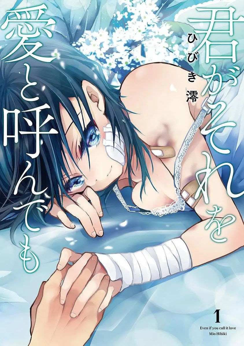 就算你把那叫做爱情