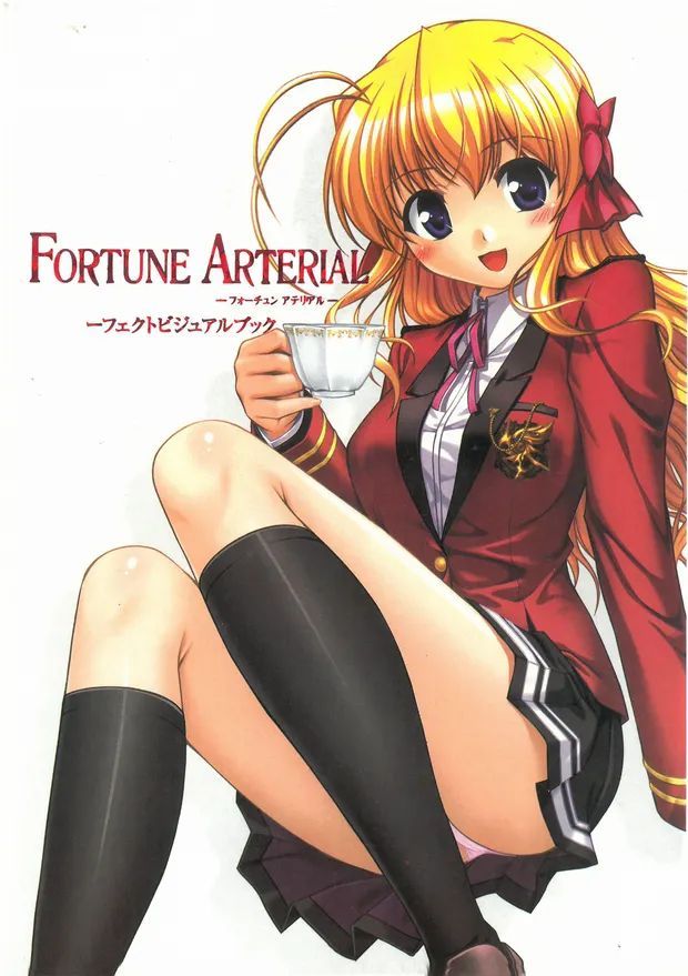 FORTUNE ARTERIAL PERFECT VISUAL BOOK