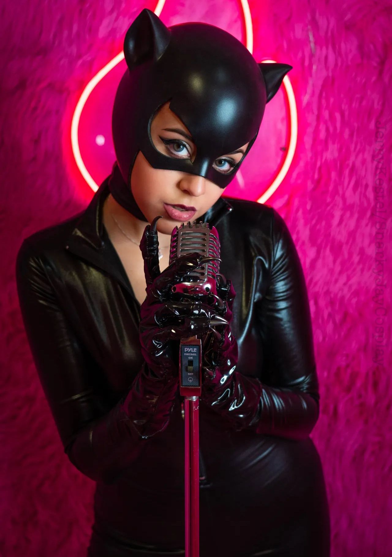 Snarky Jay – Playfully Catwoman