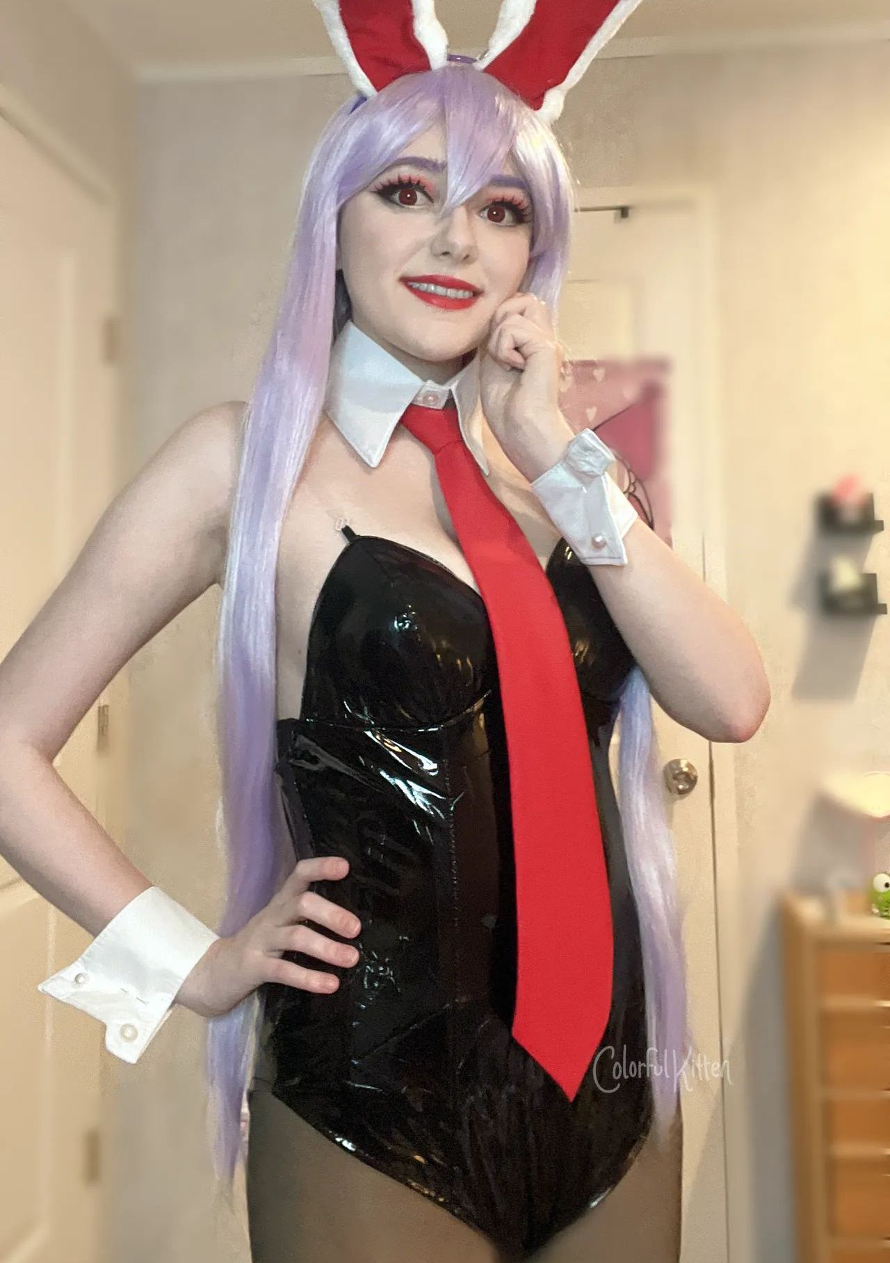 Colorful Kitten - Reisen Inaba Bunny