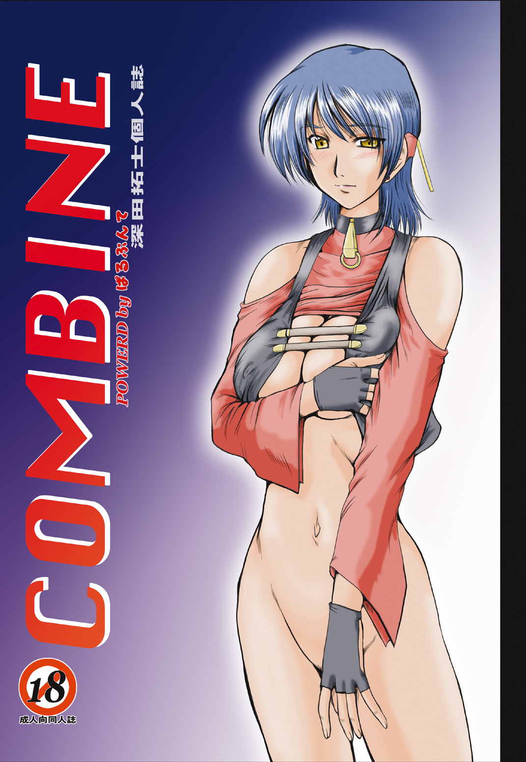 [ぱるぷんて (深田拓士)] F-52 COMBINE (GUN X SWORD、機動戦士ガンダムSEED DESTINY、おねがい☆ティーチャー) [DL版]