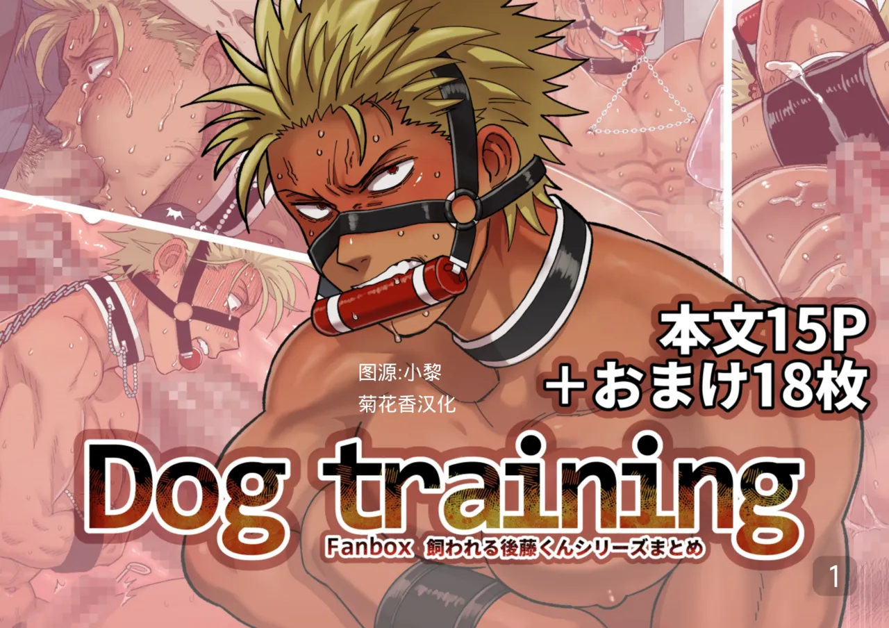 【佐藤ていぎ 】DOG_TRAINING