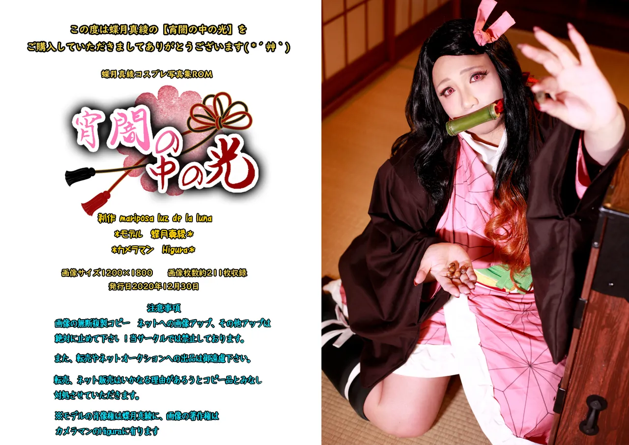 mariposa luz de la luna (Kimetsu no Yaiba) Light in the darkness