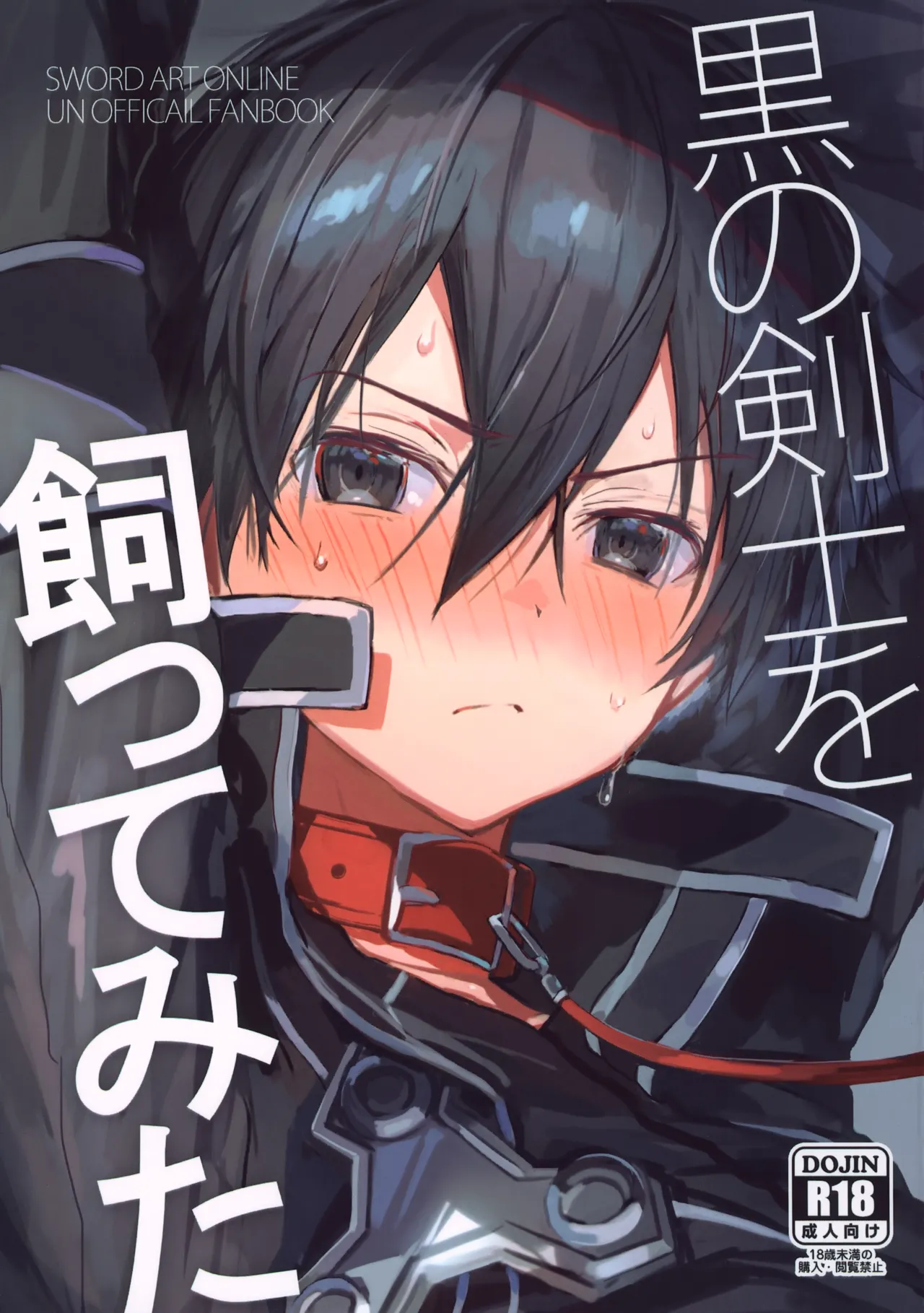 (C106) [PK2 (小倉)] 黒の剣士を飼ってみた (ソードアート・オンライン)