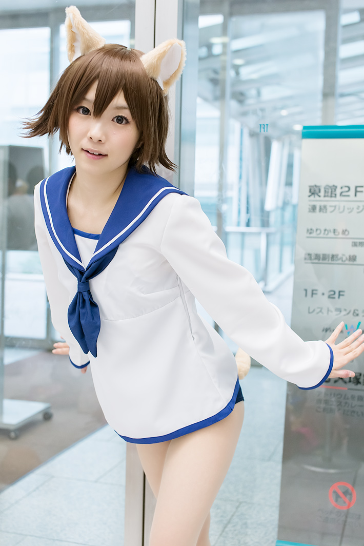 [Various] Strike Witches Group Cosplay (Strike Witches)