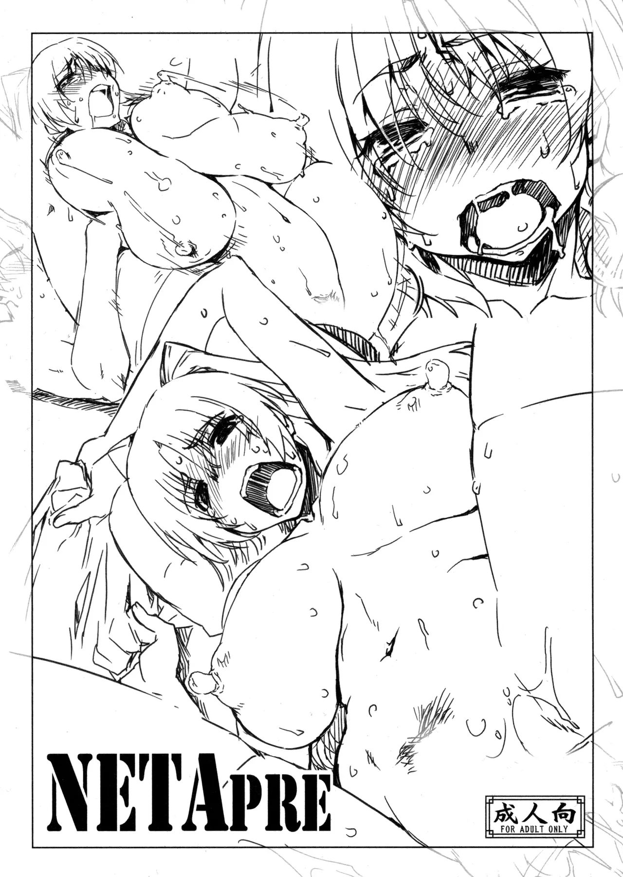 (C89) [沙悟荘 (瀬浦沙悟)] NETApre (トゥハート2) [中国翻訳]