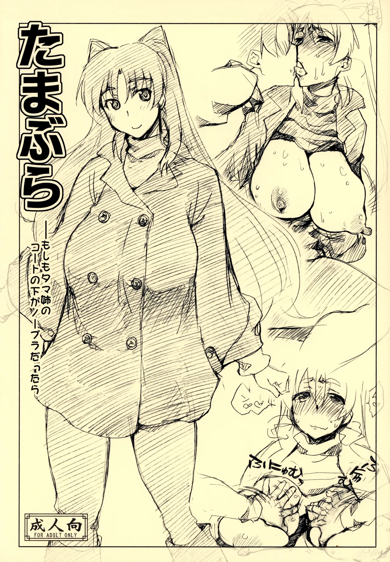 (C81) [沙悟荘 (瀬浦沙悟)] たまぶら (トゥハート2) [中国翻訳]