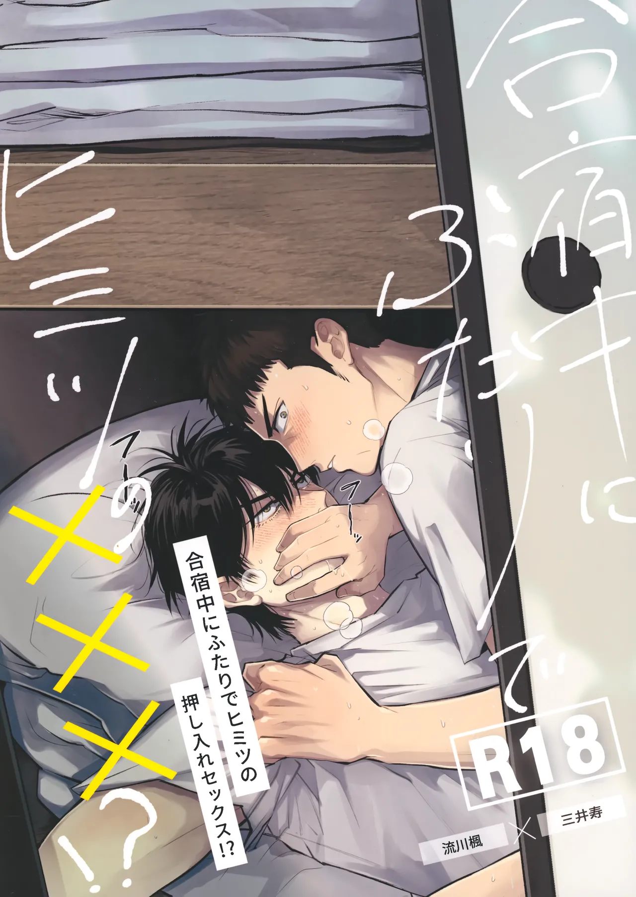 (GOOD COMIC CITY 29) [う (うじいちゃん)] 合宿中にふたりでヒミツの×××!? (スラムダンク)