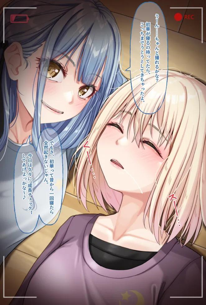 [天霧三木] 観察報告書-三角初華