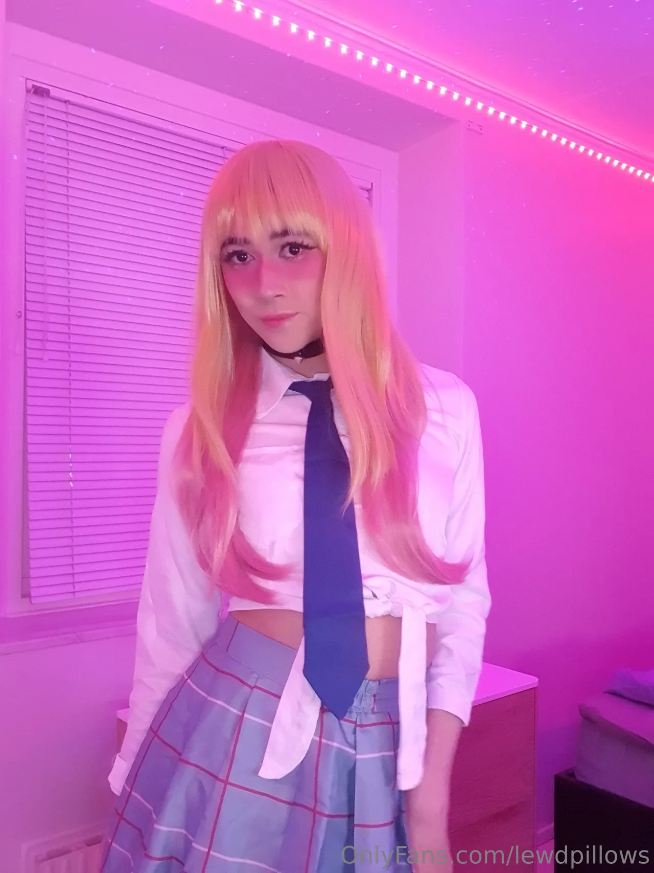 Lewd Pillows - Marin