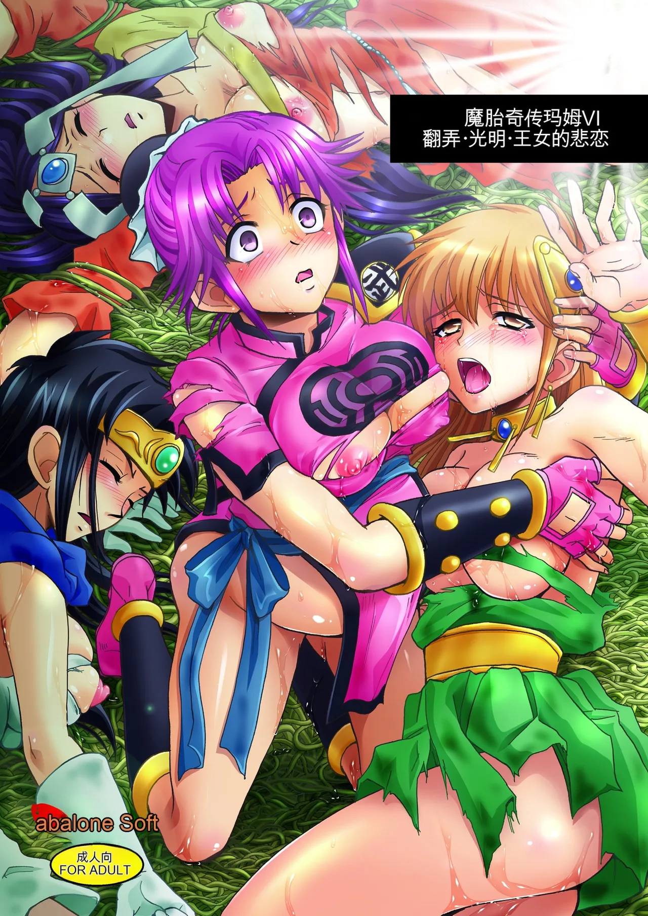 [Abalone Soft (悶亭妹次郎)] 魔胎奇伝マァムVI ～翻弄・光明・王女の悲恋～ (ドラゴンクエスト ダイの大冒険) [中国翻訳] [DL版]