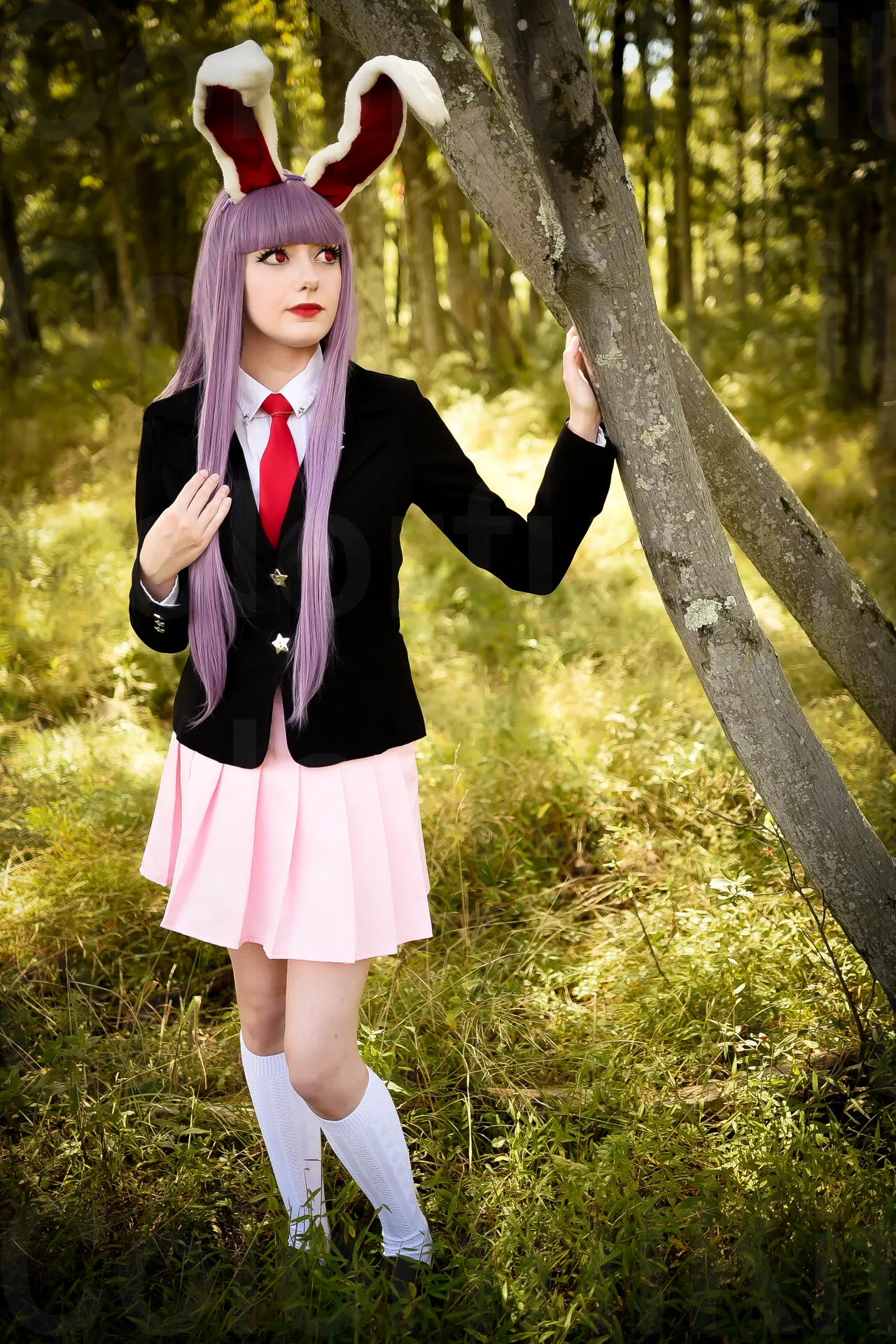 Colorful Kitten - Reisen