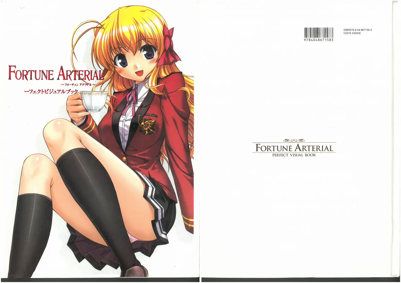 FORTUNE ARTERIAL PERFECT VISUAL BOOK