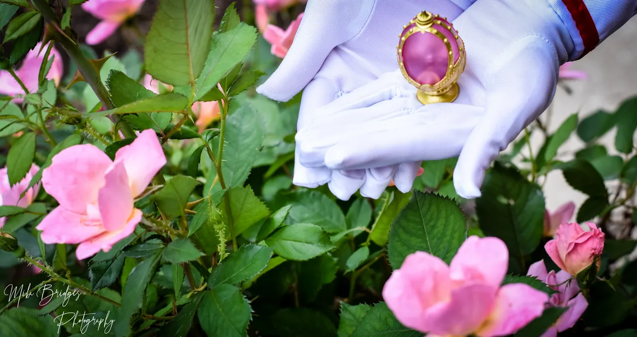 Colorful Kitten - Madoka Kaname