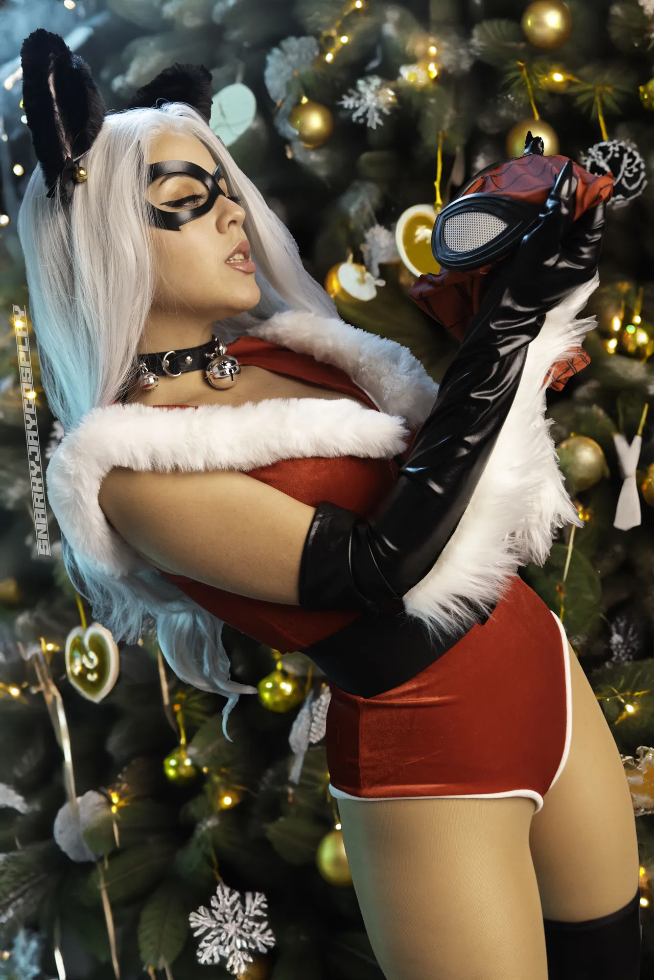 Snarky Jay – Holiday Cats