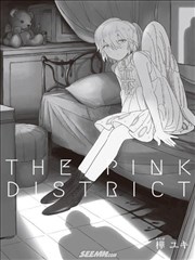 THE PINK DISTRICT